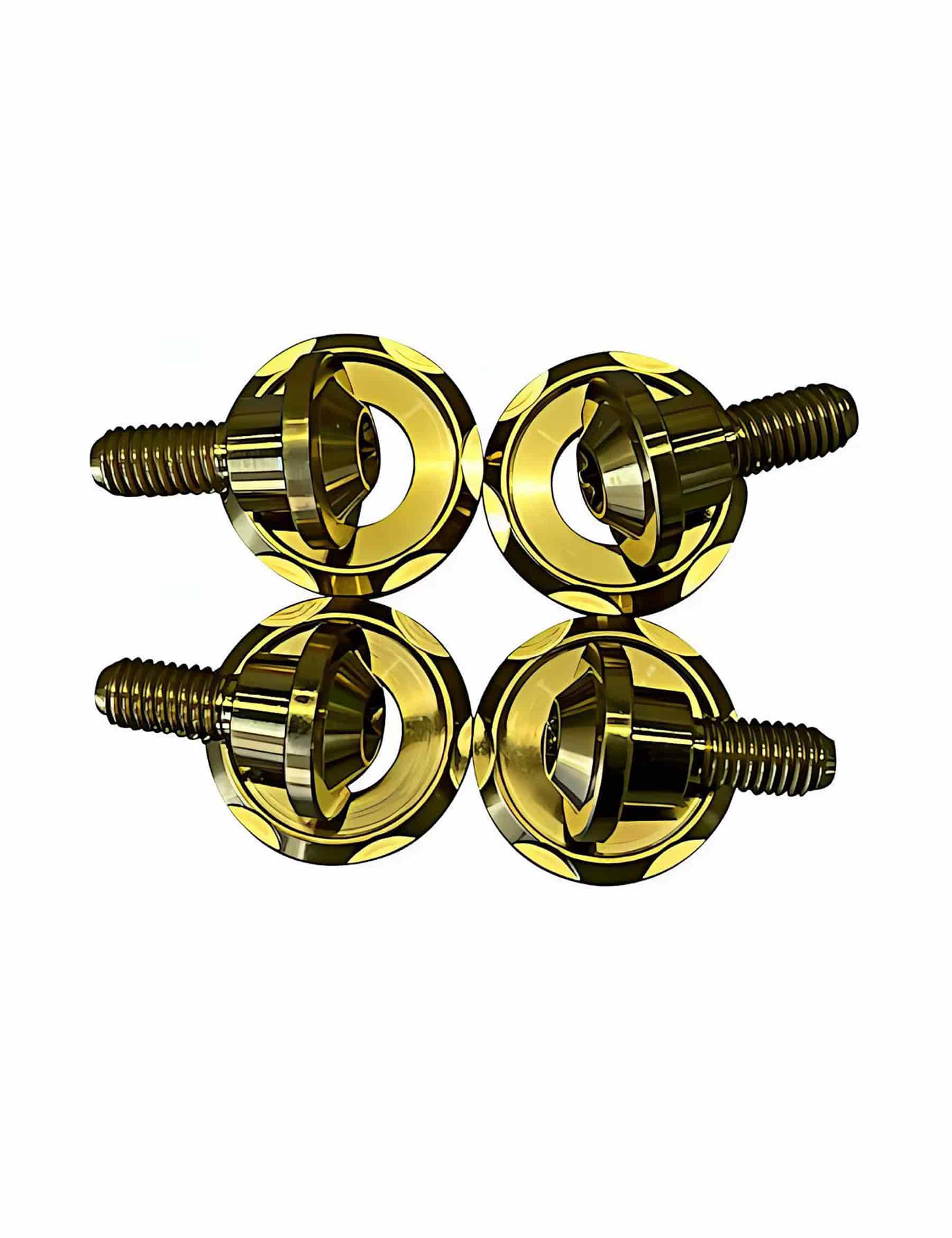 Motorcycle Titanium Fairing Bolts | Harley Touring 2024-after 121/117 Road Glide Street Glide/CVO/CVO ST, 2023 121CVO Road Glide Street Glide - Image 3