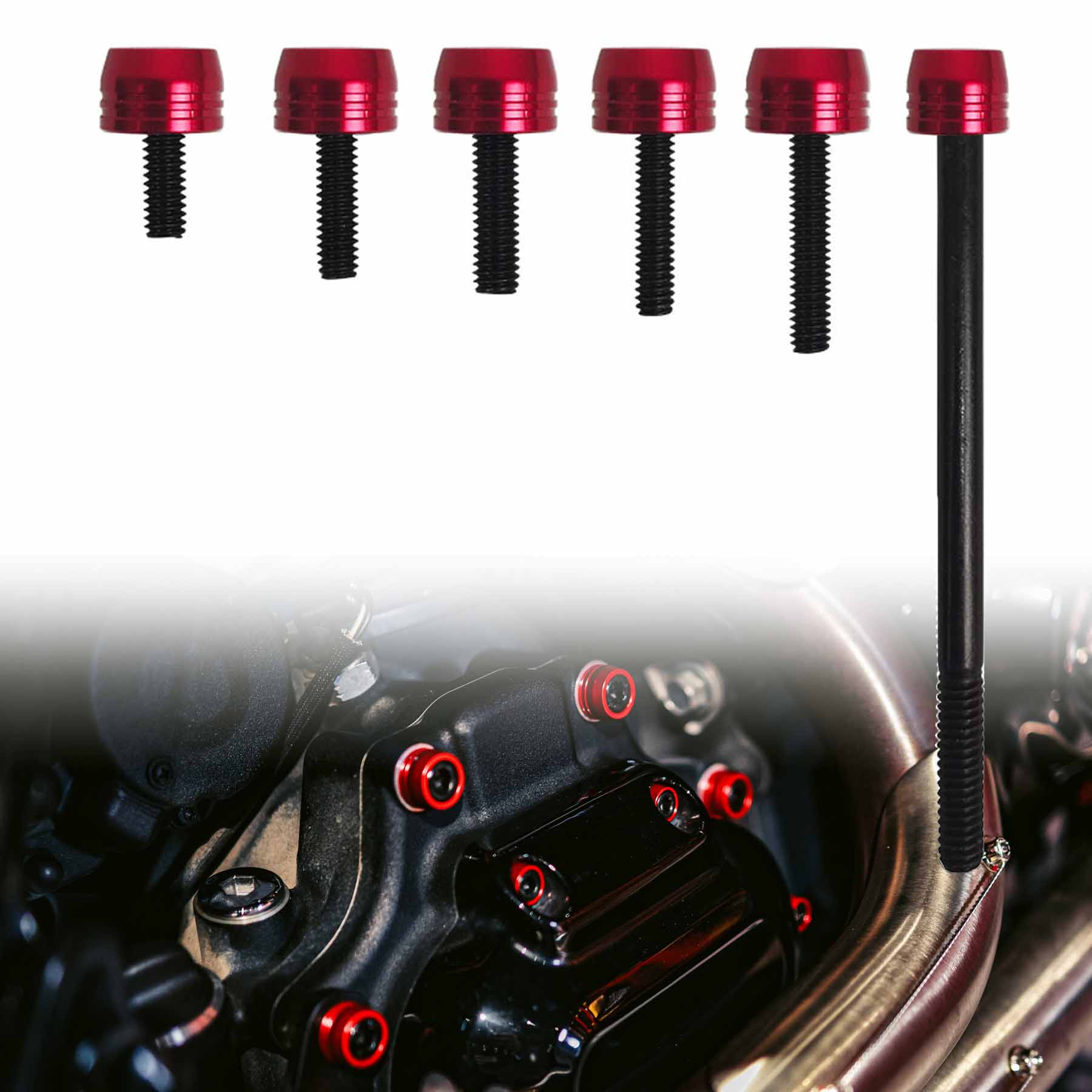 79PCS Engine Dress Up Bolts Kit with Colored Caps | Stainless Steel | Harley 2017-after Touring, 2018-after Softail Models