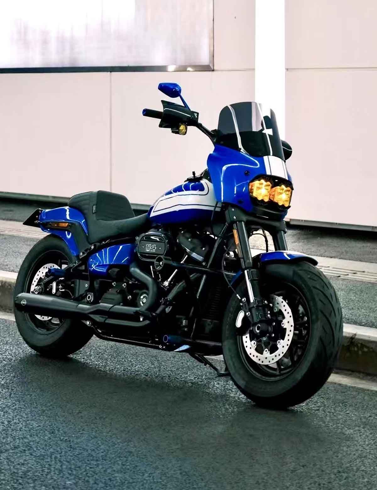 Racing Crash Bar | Highway Engine Guard | Stainless Steel | Harley 2018-after Softail Models - Image 5