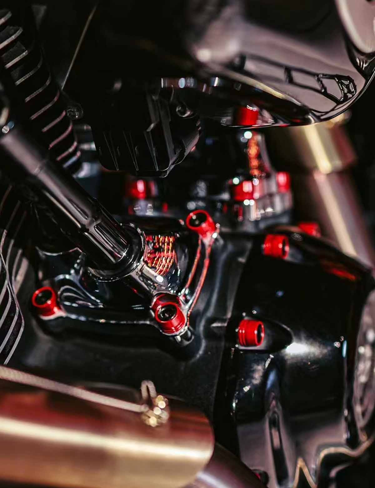 79PCS Engine Dress Up Bolts Kit with Colored Caps | Stainless Steel | Harley 2017-after Touring, 2018-after Softail Models - Image 9