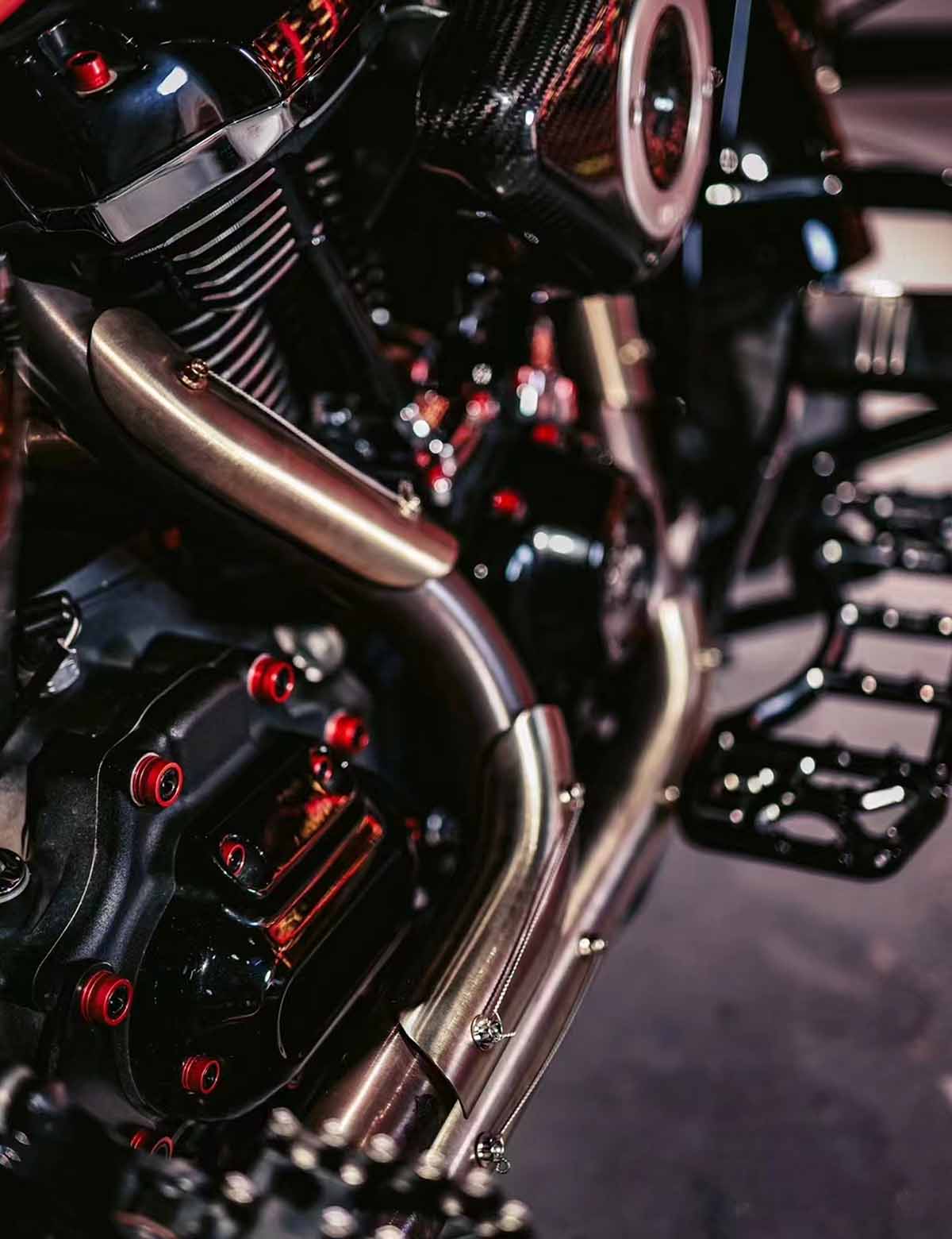 79PCS Engine Dress Up Bolts Kit with Colored Caps | Stainless Steel | Harley 2017-after Touring, 2018-after Softail Models - Image 10