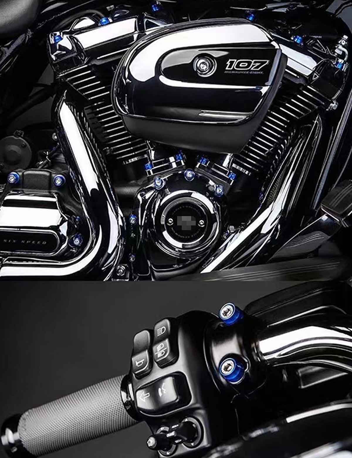 79PCS Engine Dress Up Bolts Kit with Colored Caps | Stainless Steel | Harley 2017-after Touring, 2018-after Softail Models - Image 2