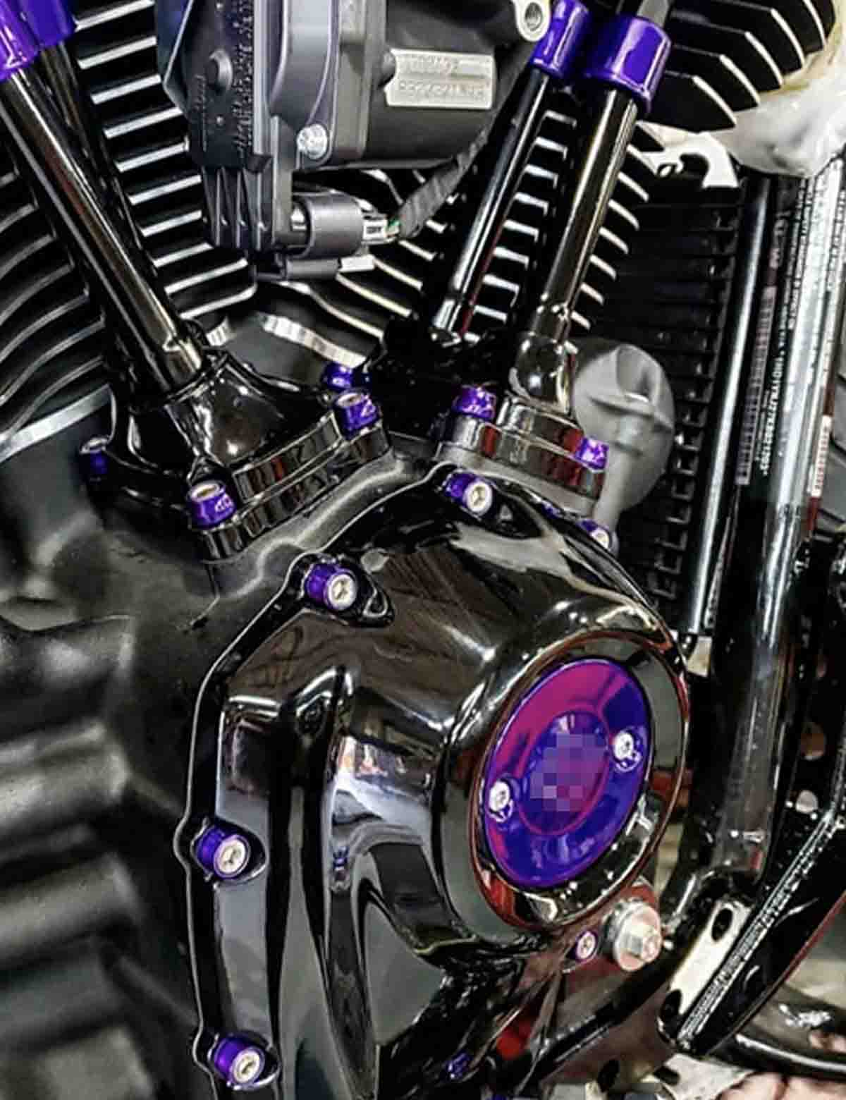79PCS Engine Dress Up Bolts Kit with Colored Caps | Stainless Steel | Harley 2017-after Touring, 2018-after Softail Models - Image 3