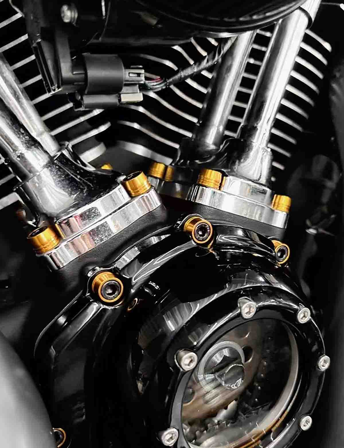 79PCS Engine Dress Up Bolts Kit with Colored Caps | Stainless Steel | Harley 2017-after Touring, 2018-after Softail Models - Image 4