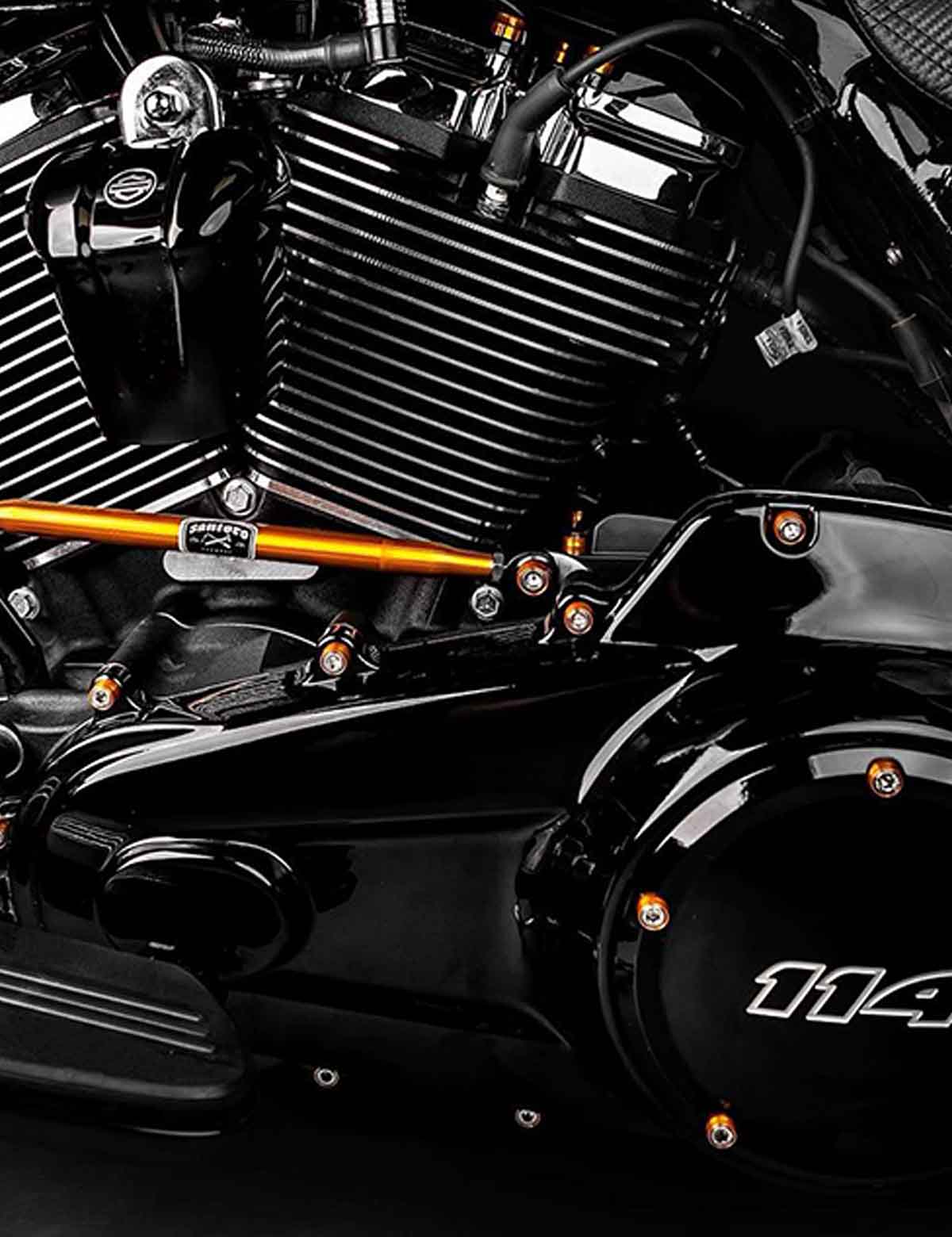 79PCS Engine Dress Up Bolts Kit with Colored Caps | Stainless Steel | Harley 2017-after Touring, 2018-after Softail Models - Image 5