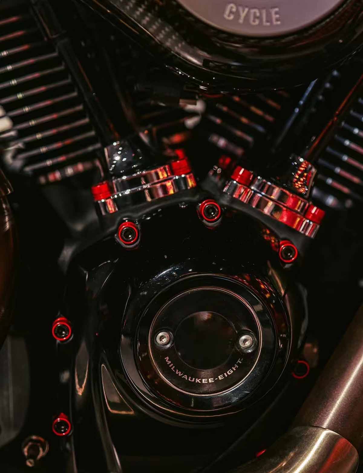 79PCS Engine Dress Up Bolts Kit with Colored Caps | Stainless Steel | Harley 2017-after Touring, 2018-after Softail Models - Image 6
