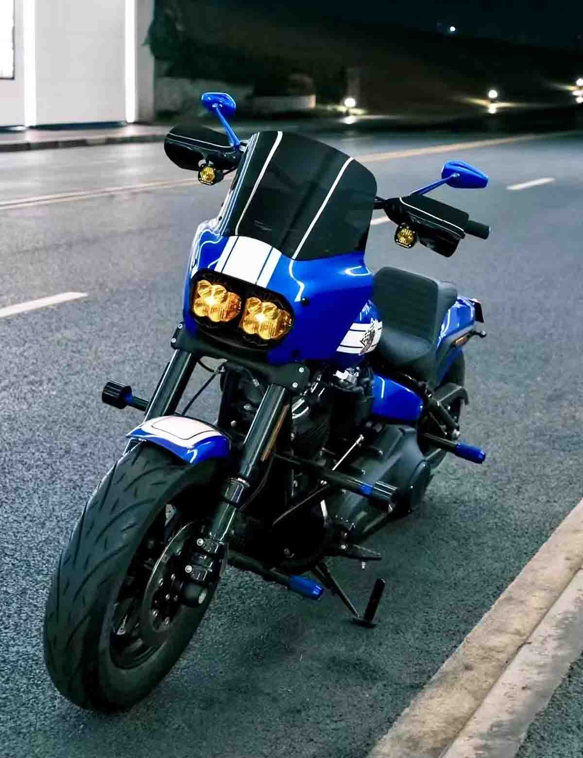 Racing Crash Bar | Highway Engine Guard | Stainless Steel | Harley 2018-after Softail Models - Image 3